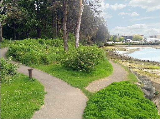 wfp.path on bulkhead