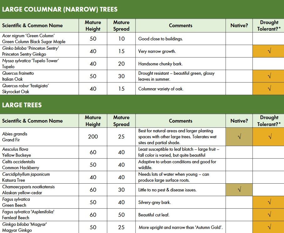Climate Ready Tree Species