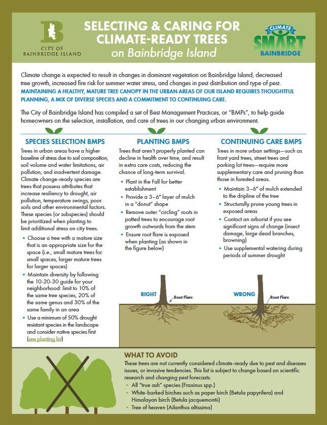 Caring for Climate Ready Trees